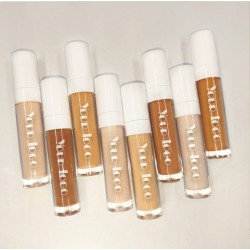 Make Your Own Full Coverage Private Label Liquid Concealer Makeup 8 Color Foundation Concealer Pen Stick Low Natural Sunscreen